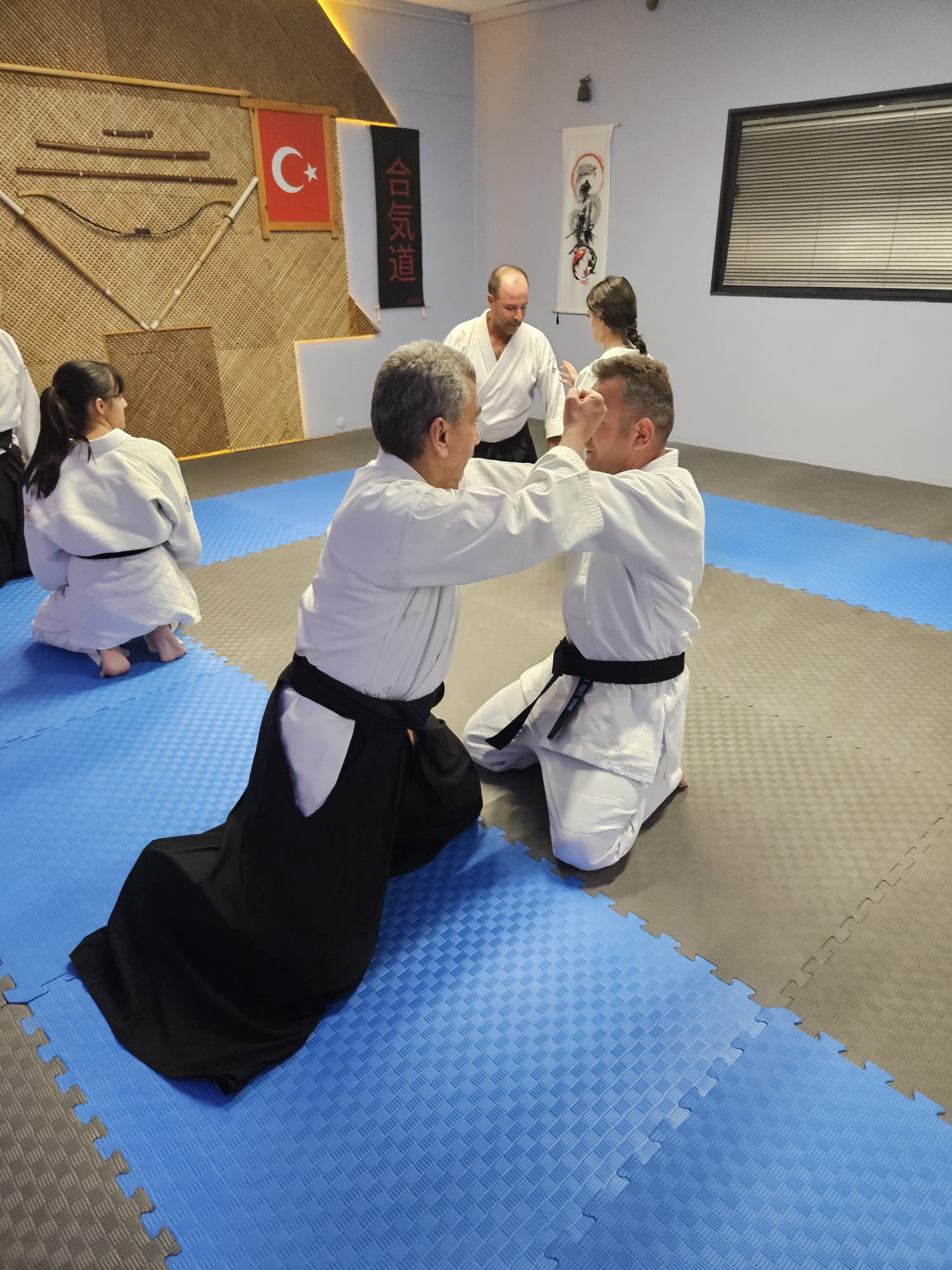 Aikido Teknikleri